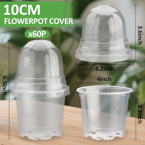 60 Pack Clear Nursery Pots with Humidity Domes (4 Inch Clear Pots With Domes-60p / 4Inch)