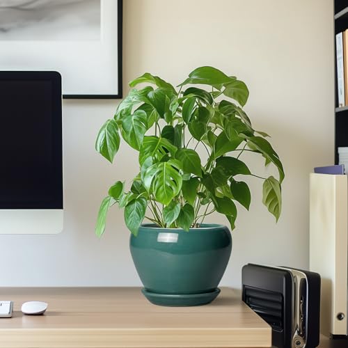 Indoor Plant Pot 6 Inch (6 Inch / Green)