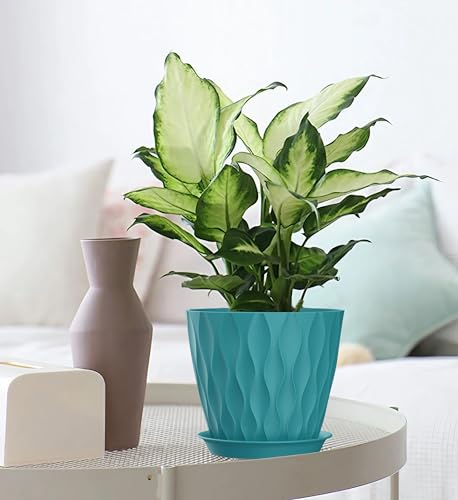 7 Inch Plant Pots 5 Pack