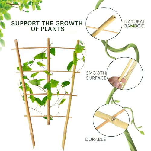 Bamboo Trellis 4FT (4ft Fan Shaped, Pack of 10)