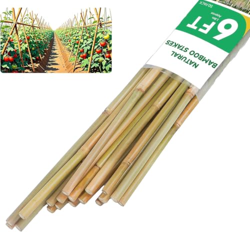 Natural Bamboo Plant Stakes (6ft-50pcs)