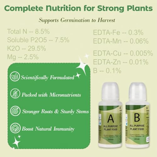 Seed Pods Kit Hydroponic (Veggies)