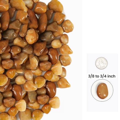 36 LBS River Rocks (Pale Yellow / 36 LBS)