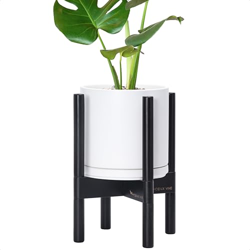 Ceramic Pot with Ebony Wood Stand