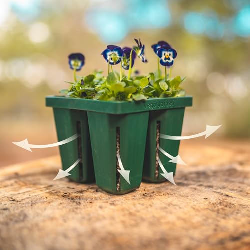 Seedling Suite Products (4 Count)