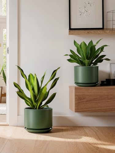 Ceramic Plant Pots (Forest Green / 8"+10")