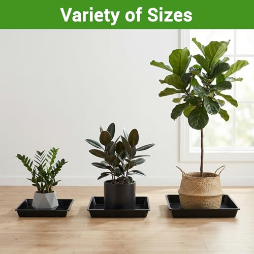 Black Square Plant Saucer (14" / Black)