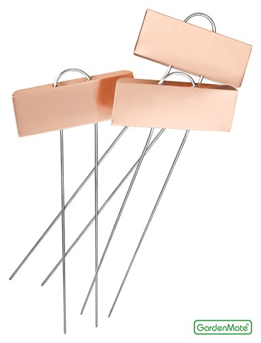 100 Pack Weatherproof Large Copper Metal Plant Labels (100 Count)