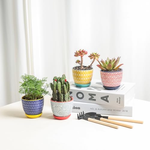 Ceramic Succulent Pots (Assorted Colors / 3.5 Inch, Set of 6)