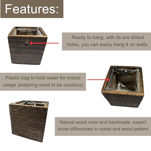 LaLaGreen Indoor Planter Box for Plants (12 Count)