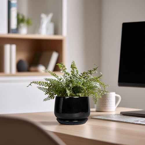 Small Ceramic Planter