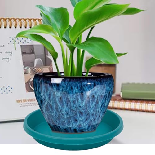 Plant Saucers 10 Inch Round 2 Pack Plastic Heavy Duty Drip Trays for Indoor Outdoor Use