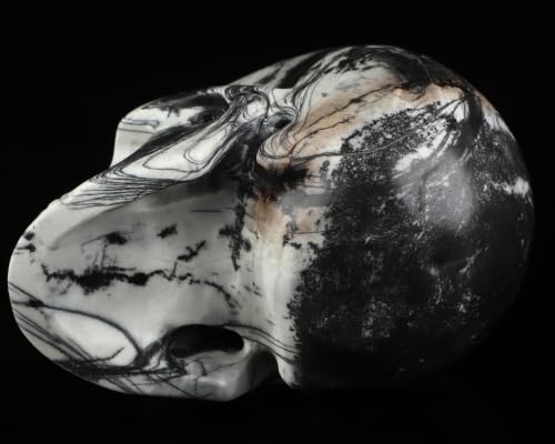 5.0" Black Picasso Jasper Crystal Skull (Skullis 5.0" Black Picasso Jasper 55)