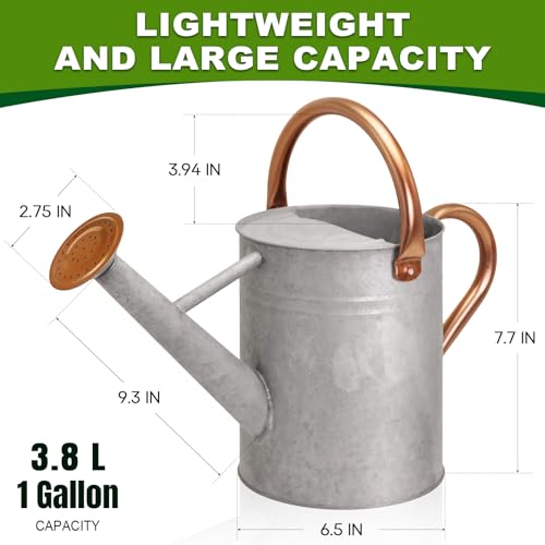 Metal Watering Can with Removable Spout (Zinc / 1 Gallon)