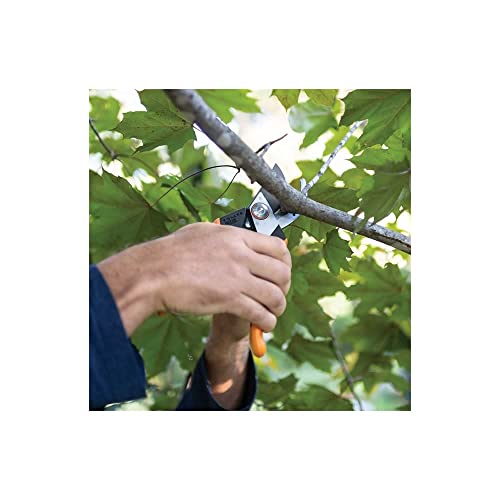 Pro SoftGrip Bypass Pruning Shears (Fiskars Pro)