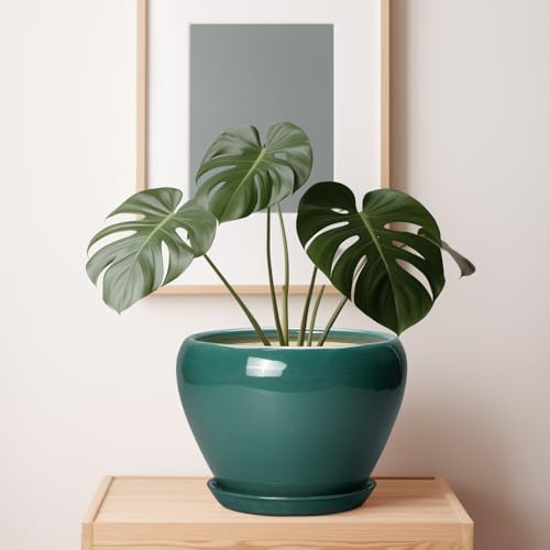 Ceramic Planter for Indoor Plants 10 Inch (10 Inch / Green)