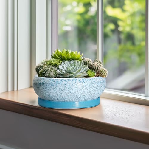 Bonsai Pots 10 Inch (10 Inch / Blue-white)