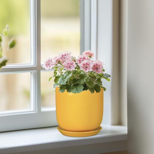 Plant Pot 5 Inch (5.3 Inch / Gloss Yellow)