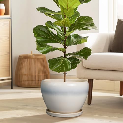 10 Inch Ceramic Planter Pot