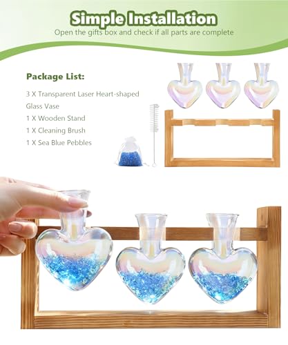 Plant Terrarium with Wooden Stand (Iridescent Clear)