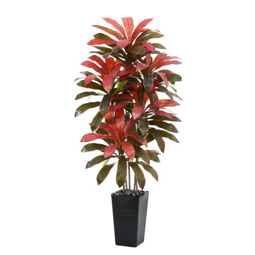 Artificial Dracaena Tree (Burgundy – Black Pot / 6FT)