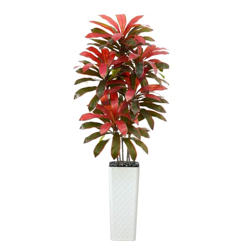 Artificial Dracaena Tree (Burgundy – White Pot / 7FT)