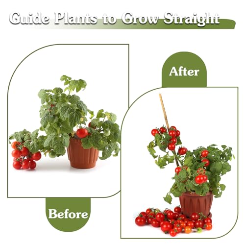 Plant Stakes 16inch (20 Count)