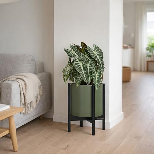Plastic Pot with Ebony Wood Stand (Olive Pot + Ebony Stand / 10 Inch)