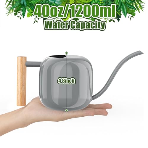 1.2L 41oz Metal Metal Watering Can with Long Spout (Gray)