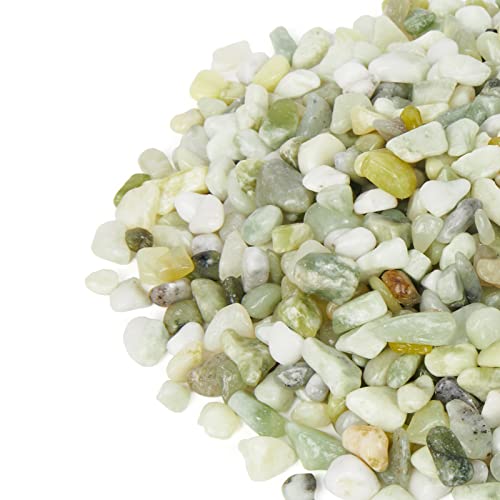 2.5 Pound Pebbles for Indoor Plants (Jade / 2.5 Pounds)