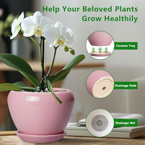 Ceramic Modern Glaze Succulent Planter Pot with Drainage Hole and Saucer 8 Inch Round Flower Plant Pot for Indoor Outdoor Herb Snake Plants (8 Inch / Pink)
