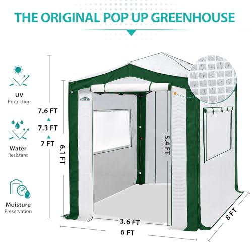8x6 Walk in Pop Up Greenhouse