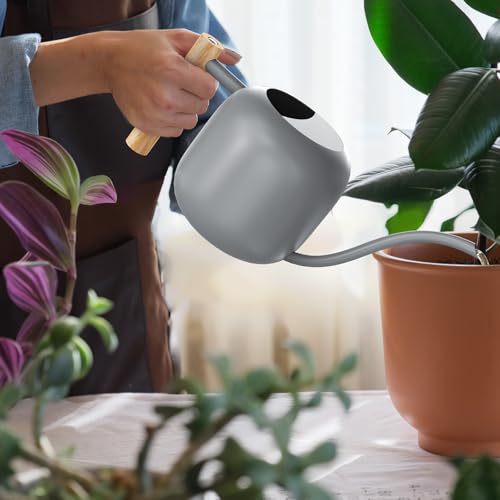 1.2L 41oz Metal Metal Watering Can with Long Spout (Gray)