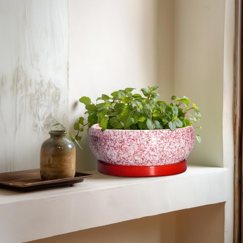 Succulent Pots (8 Inch / Red-white)