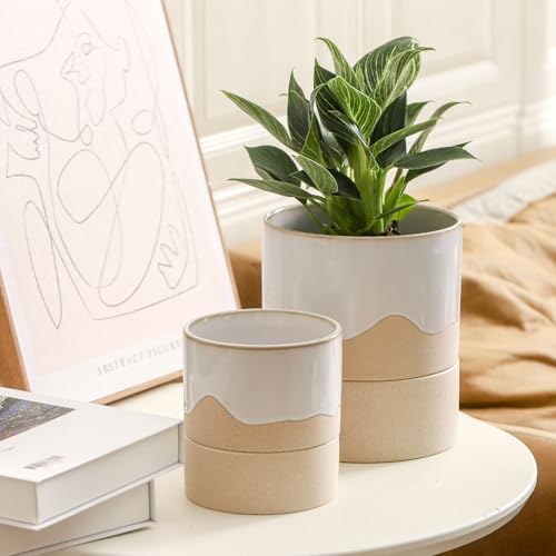Self Watering Ceramic Planter