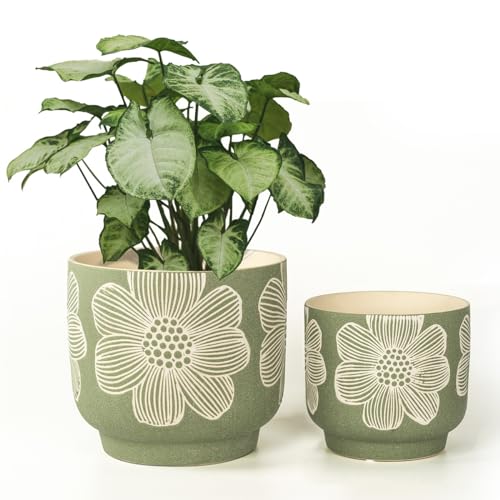 Ceramic Plant Pots (8+6 Inch / Modern Green Floral)