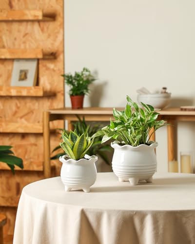 Ceramic Planter (2pcs White)