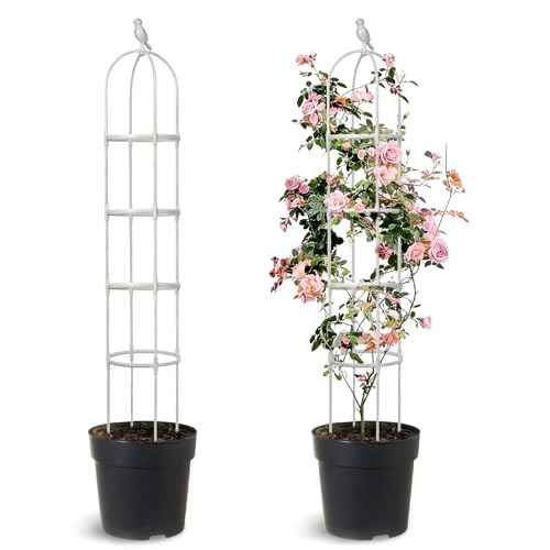 2 Pack Trellis for Climbing Planting Outdoor (WHITE / 2 PACK)