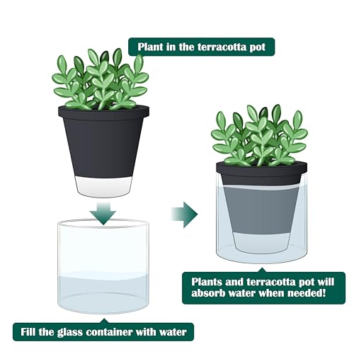 Self Watering Black Terracotta Planter (2 Count)