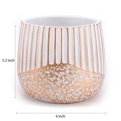 2‑Pack 6 Inch Succulent Planter Pots with Drainage Holes (White Gold)