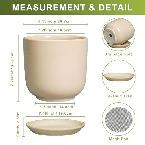 Ceramic Planter (8 Inch / Beige)