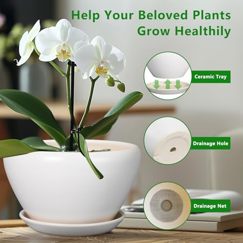 Ceramic Planter (9 Inch / White)