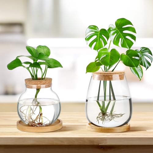4 Pcs Plants Propagation Stations vases Glass Planters with Wooden Lid and Bamboo Stand for Hydroponic Plants Gardening Gifts for Women Mom Home Office Tabletop Decoration (Lovely Style)