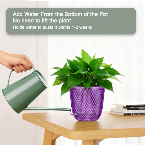 Hanging Planters for Indoor Plants (Purple / 5.7in)
