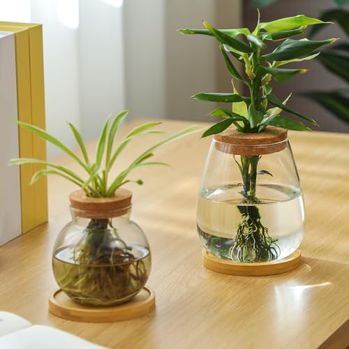 4 Pcs Plants Propagation Stations vases Glass Planters with Wooden Lid and Bamboo Stand for Hydroponic Plants Gardening Gifts for Women Mom Home Office Tabletop Decoration (Lovely Style)