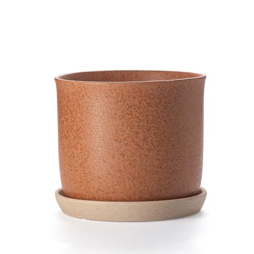 8 Inch Ceramic Plant Pot with Drainage Hole & Separate Saucer (Terracotta / 8 inch)