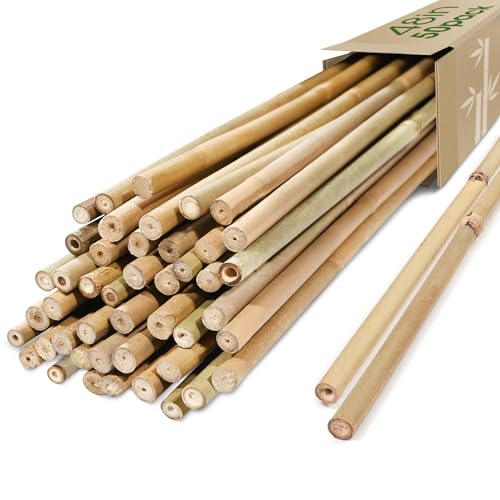 Bamboo Stakes (50 Count)