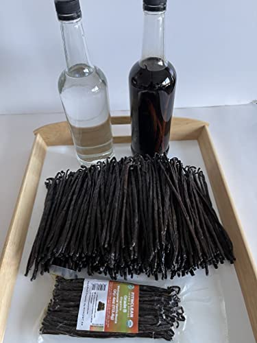 4oz Madagascar Vanilla Beans Organic Grade B. 5" (4 Ounce (Pack of 1))
