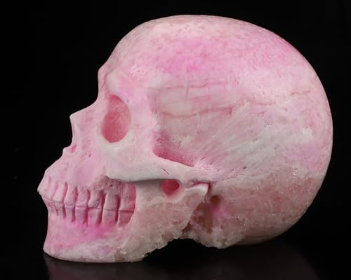 5.0" Pink Aragonite Realistic Crystal Skull (5.0 Inches Pink Aragonite 8)