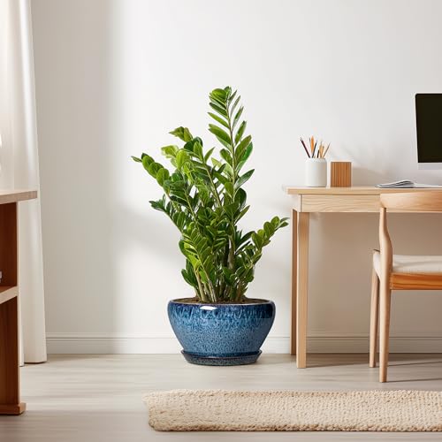 Ceramic Planter 11 Inch (11 Inch / Blue)